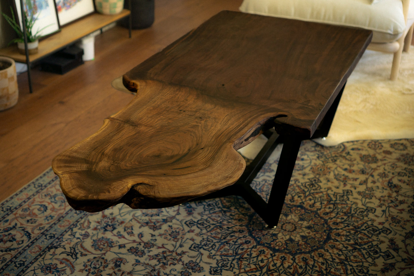 Century Old Grafted Walnut Coffee Table